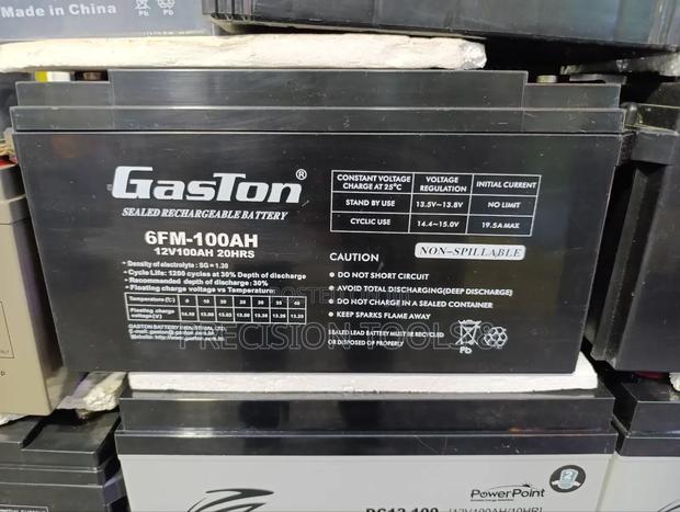 100ah Gaston Battery