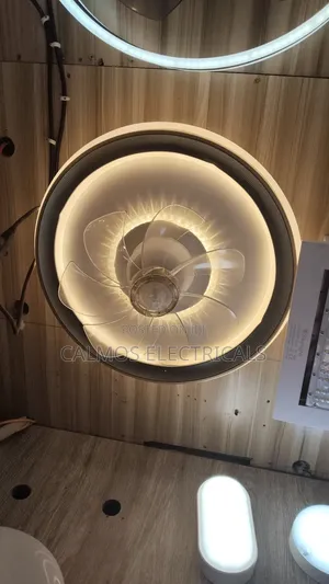 Ceiling Light With Fan
