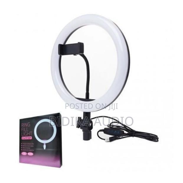 10 Inch Led Dimmable Ring Light +Shutter+Stand 2m