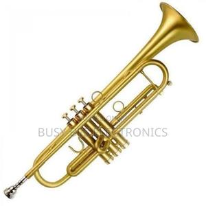 Suzuki Professional Cornet Silver Gold - thumbnail 2