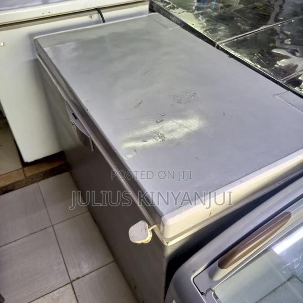 300l Commercial Chest Freezer