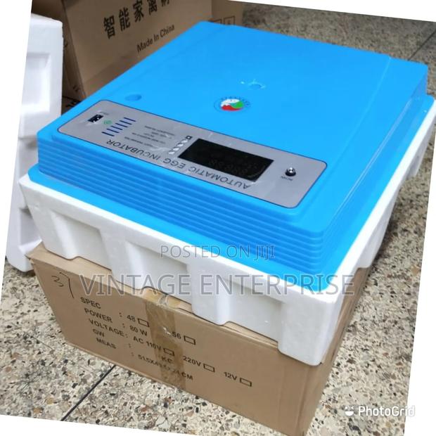 56 Eggs Automatic Incubator