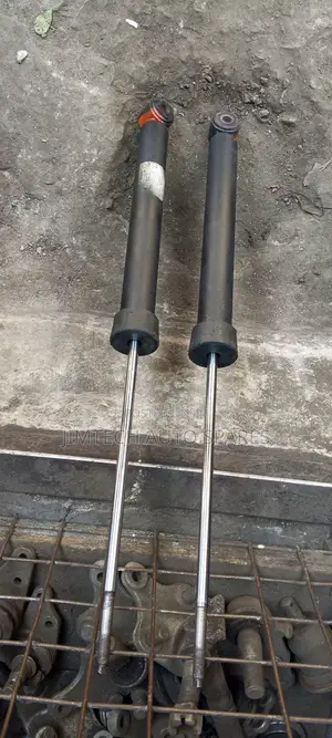 BMW 318i E46 Rear Shock
