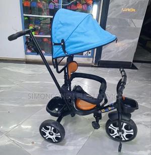 Push Tricycle With Canopy - thumbnail 2