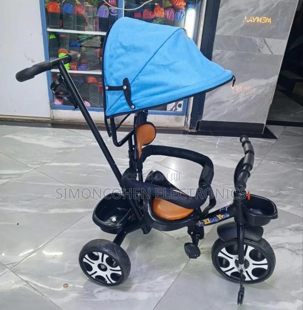 Push Tricycle With Canopy - main view