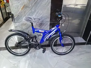 Bike Size 20 With Shock Absorber
