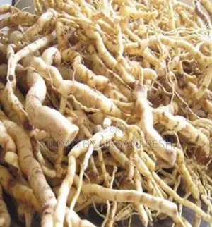 Mukombero Powder ( Mondia ) 1 Kg