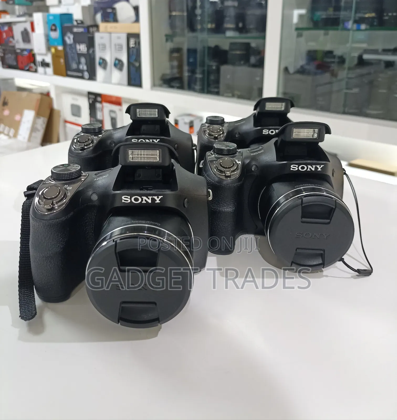 Sony Cyber-Shot DSC-H300 Digital Camera (Black)