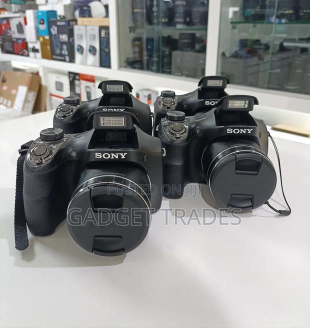 Sony Cyber-Shot DSC-H300 Digital Camera (Black)