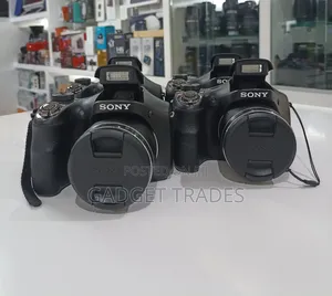 Sony Cyber-Shot DSC-H300 Digital Camera (Black)