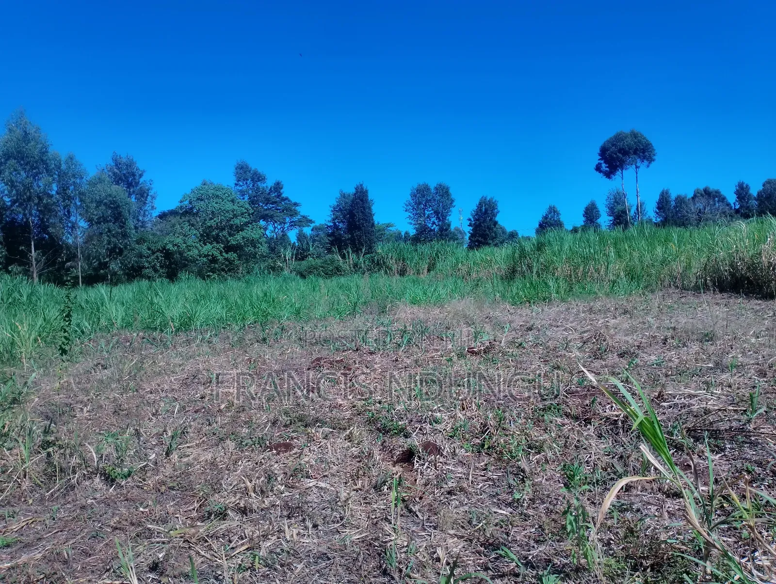 Residential Plots for Sale Kanunga Kiambu.