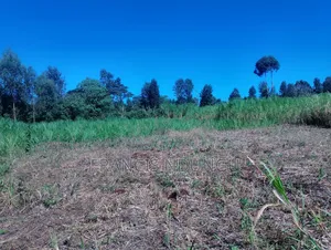 Residential Plots for Sale Kanunga Kiambu.