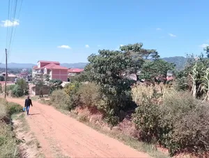 Eastleigh-Machakos 50 by 100ft Plot