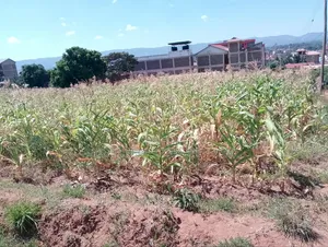 Eastleigh-Machakos 50 by 100ft Plot