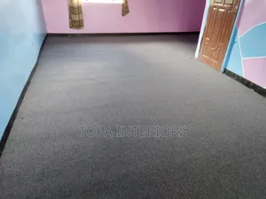 Light Grey Indoor Office and Home Floor Wall to Wall Carpets
