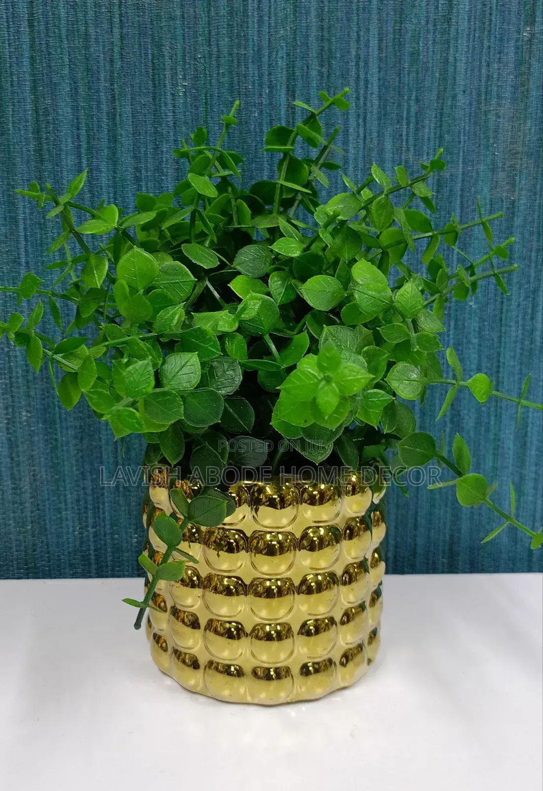 Classic Small Bonsai Flower in a Gold Bubble Vase