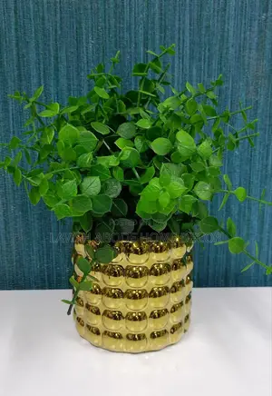 Classic Small Bonsai Flower in a Gold Bubble Vase