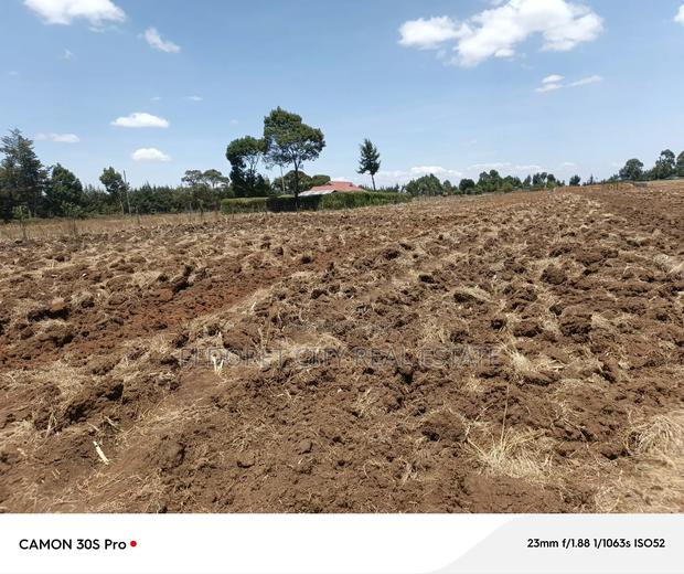 One Acre Kaptuli 50 Meters From Tarmac. - thumbnail 2