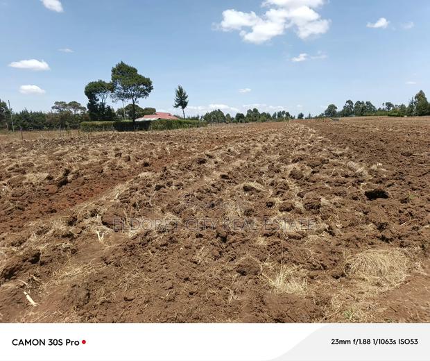 One Acre Kaptuli 50 Meters From Tarmac. - thumbnail 3