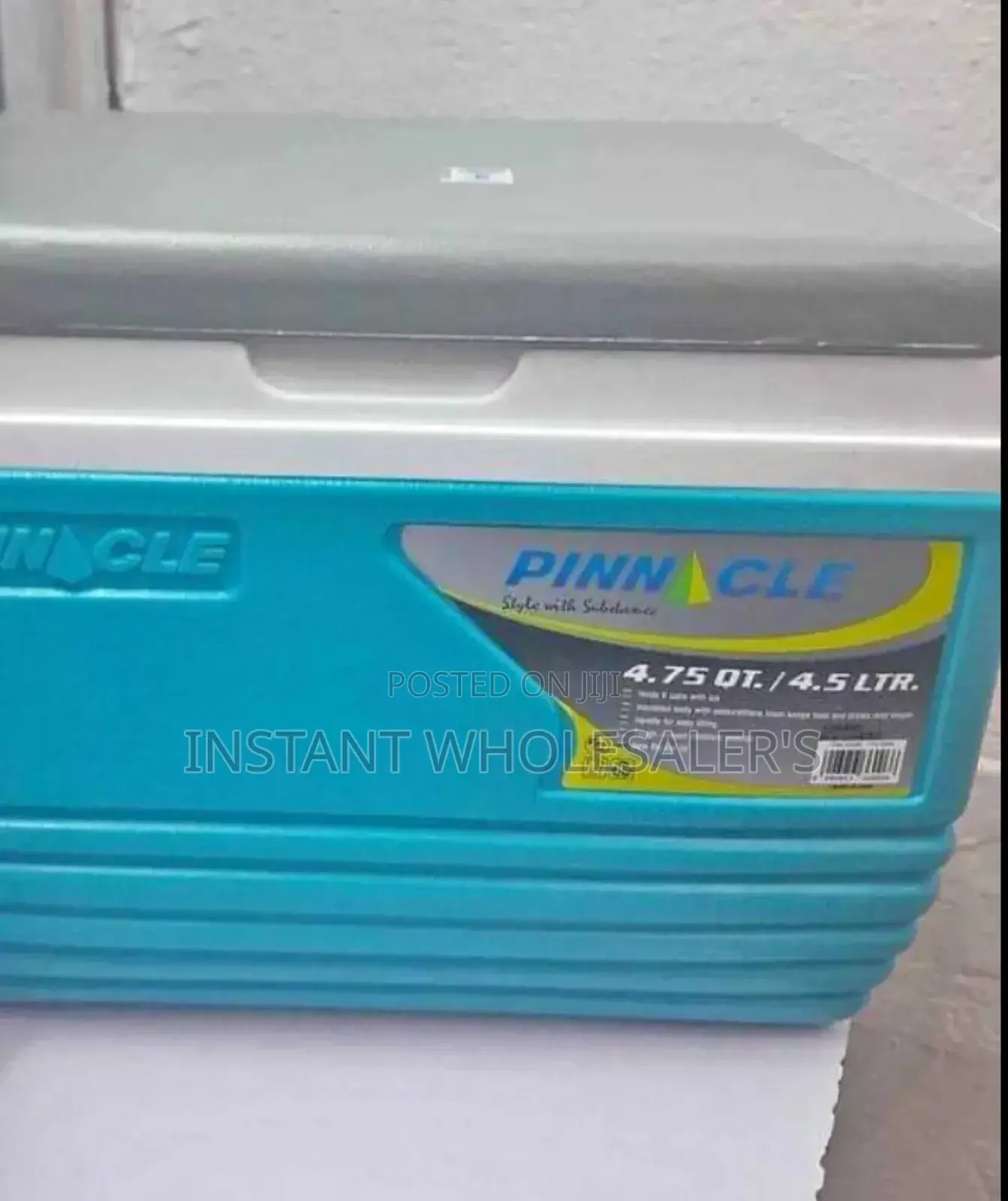 Small 4.5 Litres Cooler Boxes