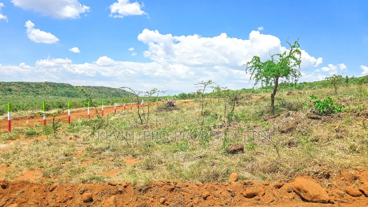 Affordable Plots in a Gated Community Concept in Nachu