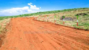 Affordable Plots in a Gated Community Concept in Nachu
