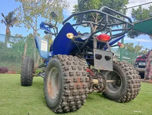 Shineray XY150-17B 2022 Blue
