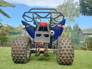 Shineray XY150-17B 2022 Blue