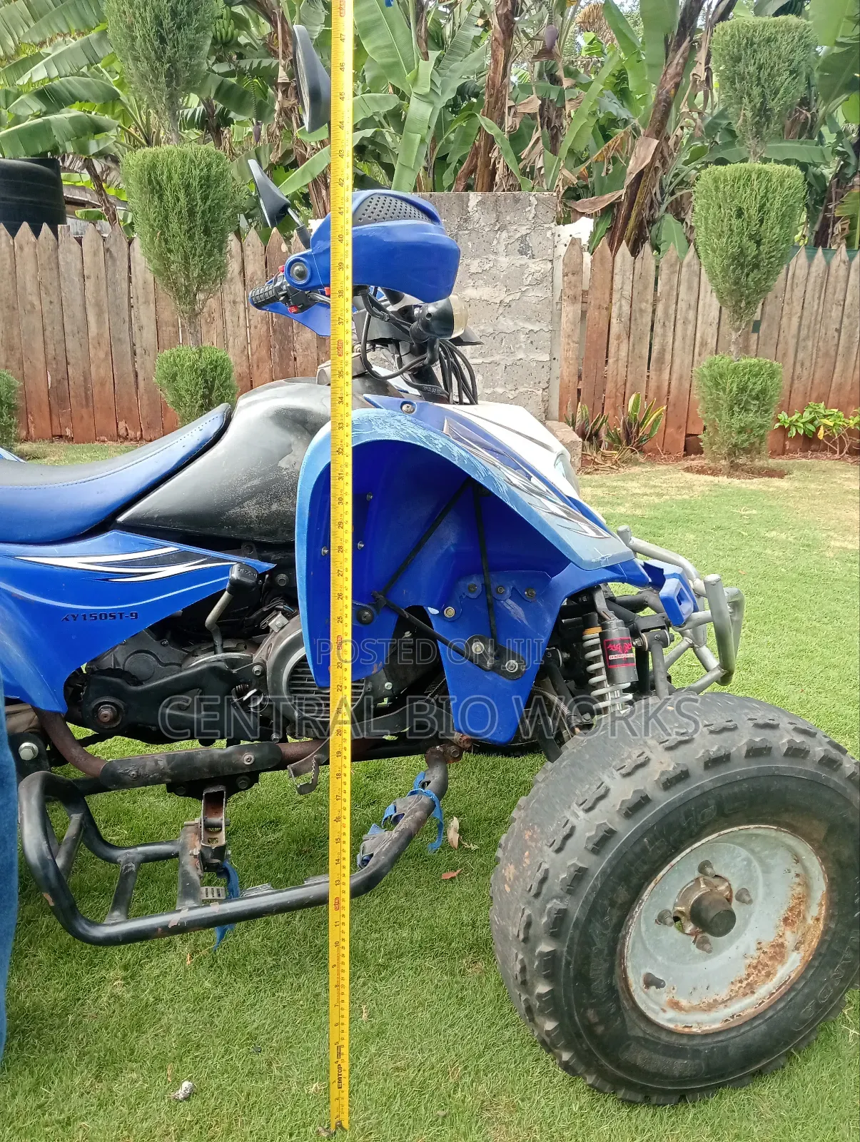 Shineray XY150-17B 2022 Blue