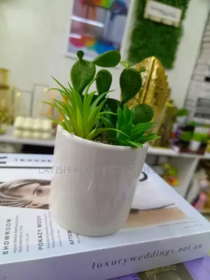 White Vase Small Flower Green Succulents