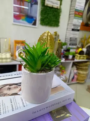 White Vase Small Flower Green Succulents
