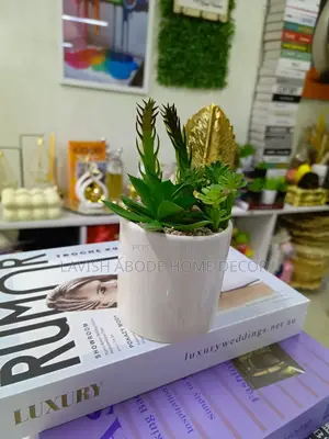 White Vase Small Flower Green Succulents