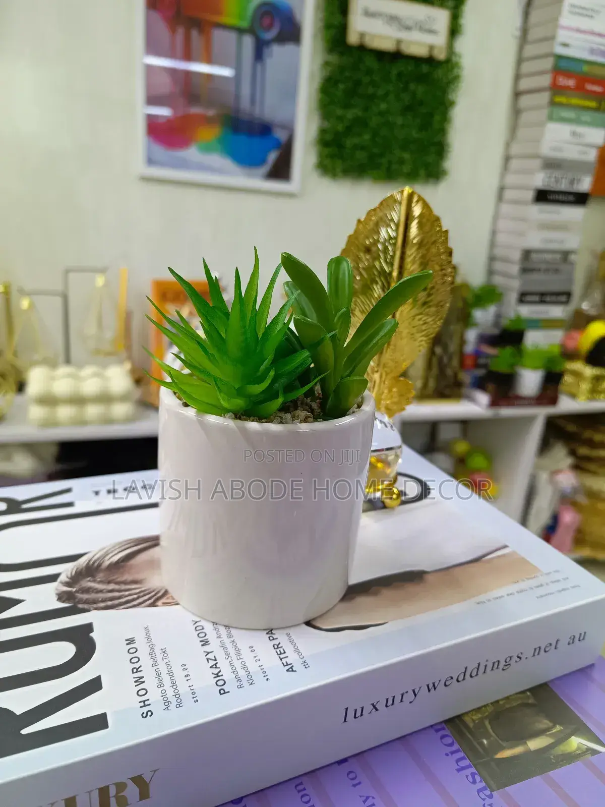 White Vase Small Flower Green Succulents