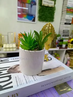 White Vase Small Flower Green Succulents