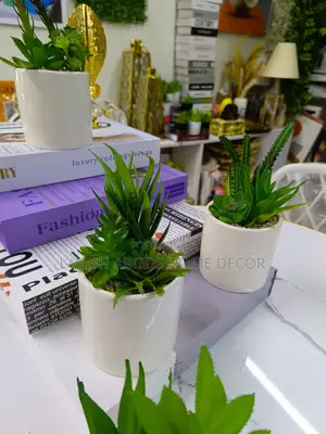 White Vase Small Flower Green Succulents
