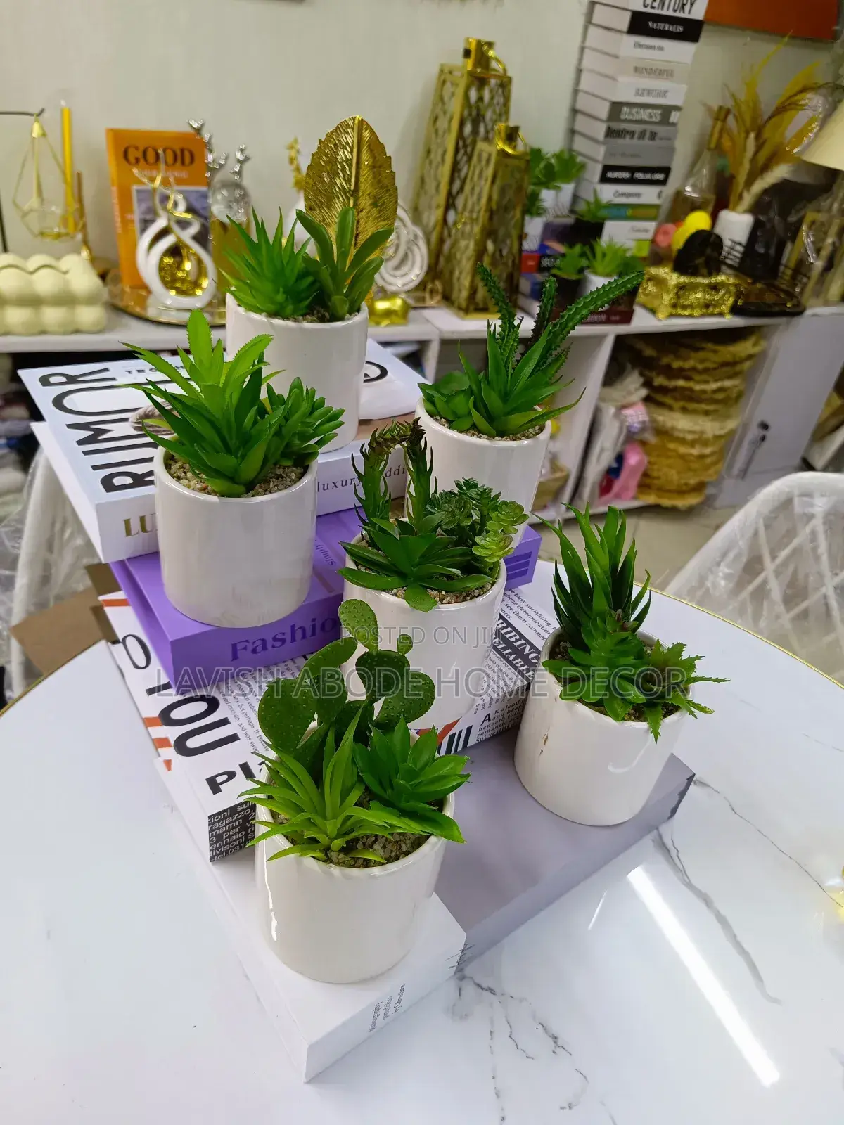 White Vase Small Flower Green Succulents