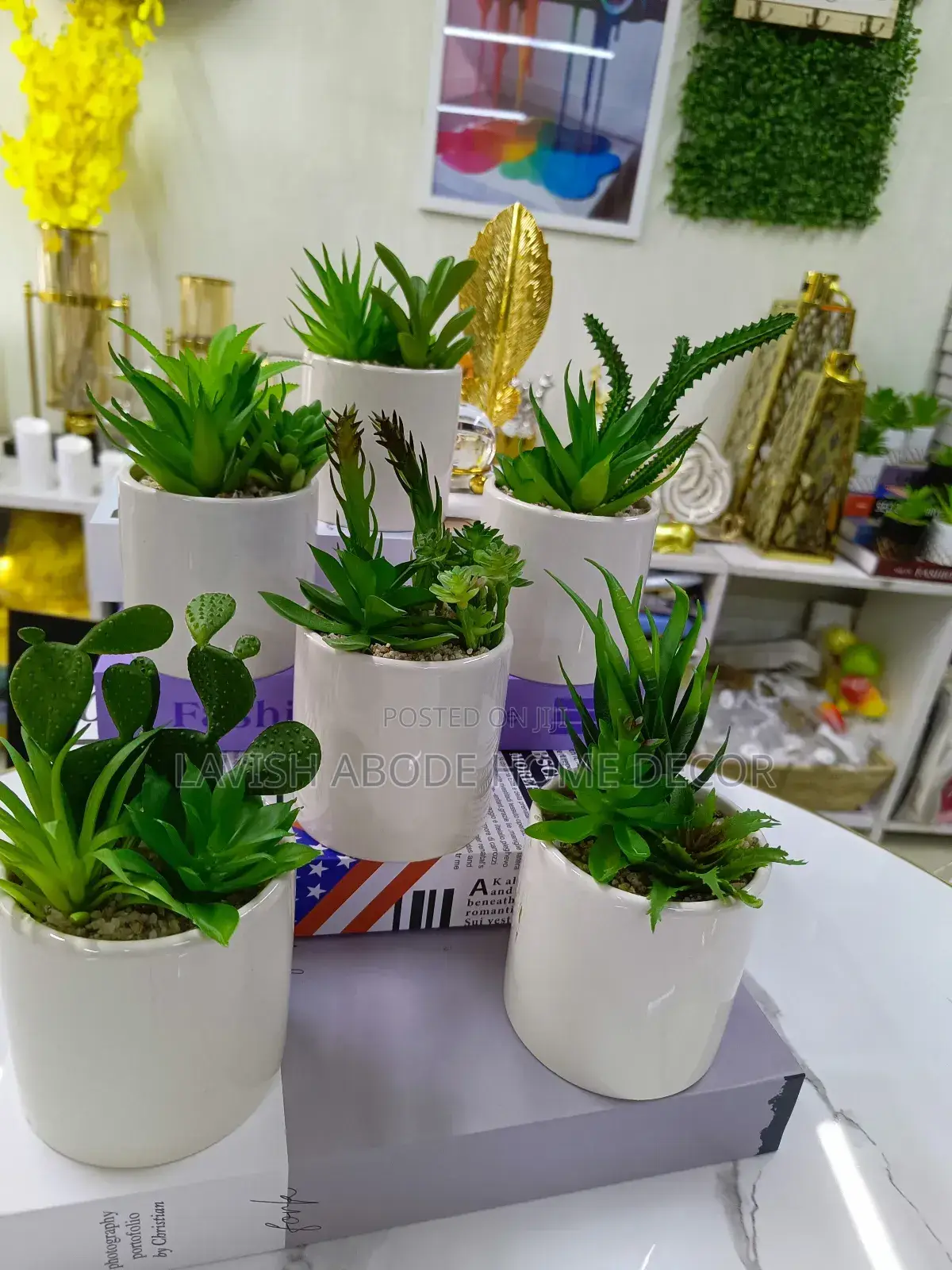 White Vase Small Flower Green Succulents