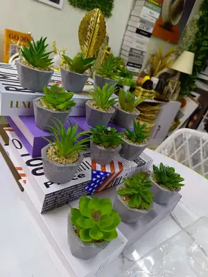 Artificial Succulents in Grey Pots Small Decor Flower