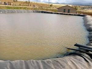 Commercial Fishpond Farming for Self Sufficient - main view