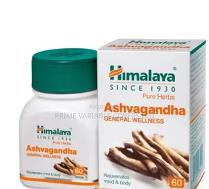 The Benefits of Ashwagandha: Remedy for Stress and Vitality