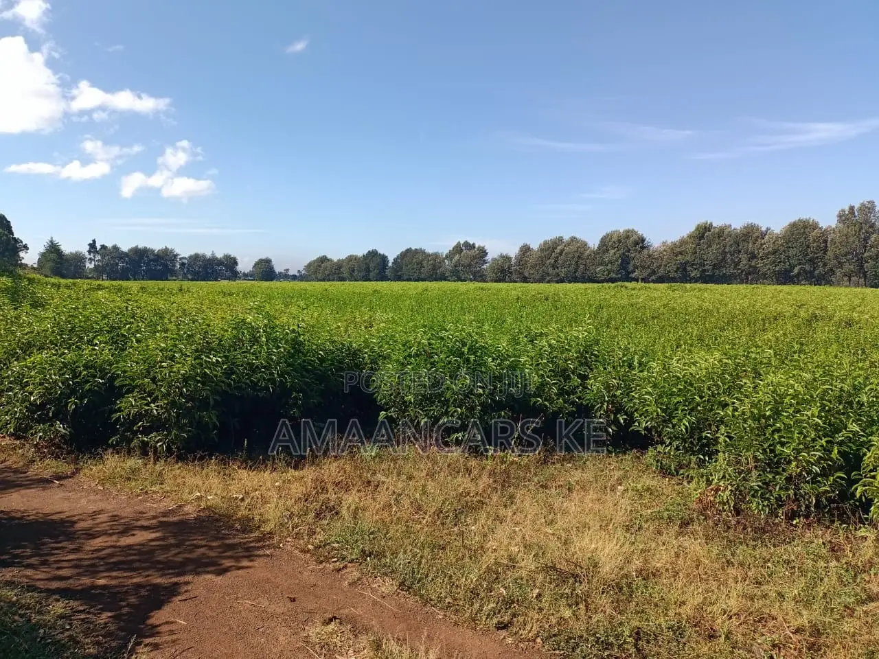 1,511 Acres Land For Sale In Bahati Nakuru