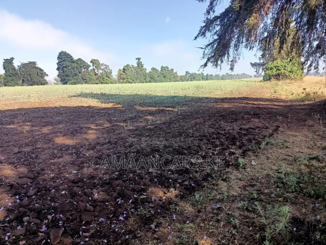 1,511 Acres Land For Sale In Bahati Nakuru