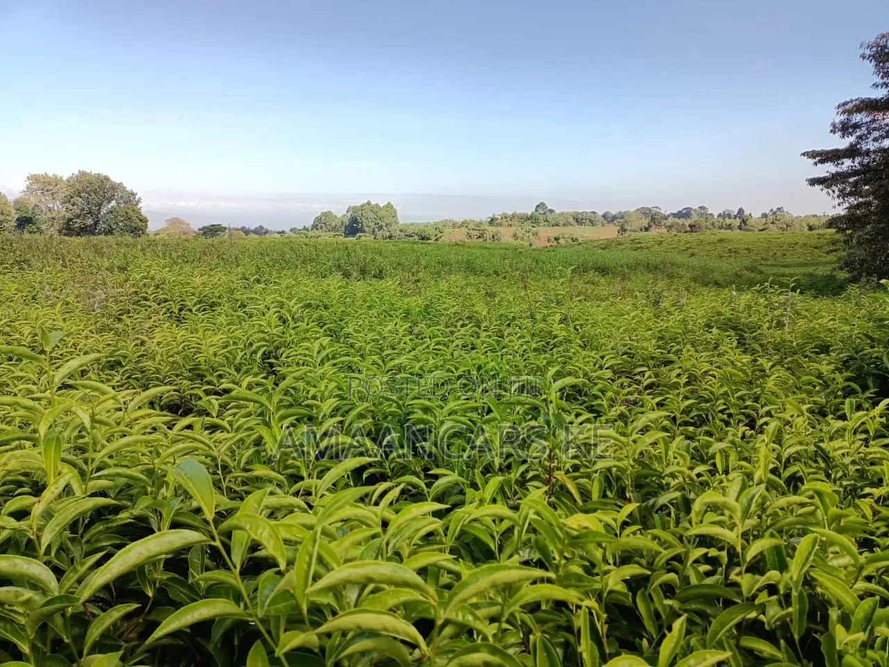 1,511 Acres Land For Sale In Bahati Nakuru