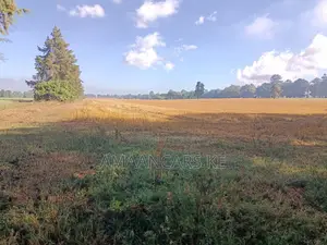 1,511 Acres Land For Sale In Bahati Nakuru