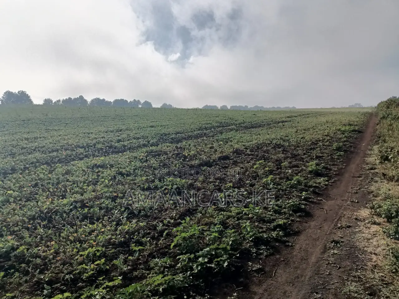 1,511 Acres Land For Sale In Bahati Nakuru