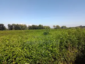 1,511 Acres Land For Sale In Bahati Nakuru