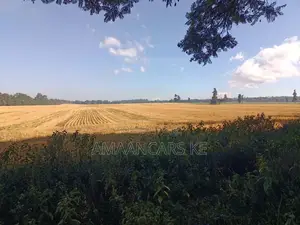 1,511 Acres Land For Sale In Bahati Nakuru
