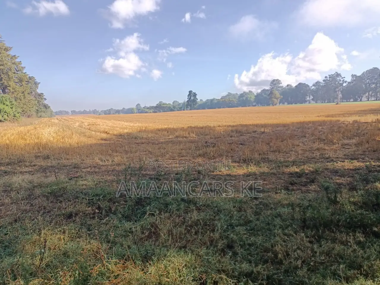 1,511 Acres Land For Sale In Bahati Nakuru