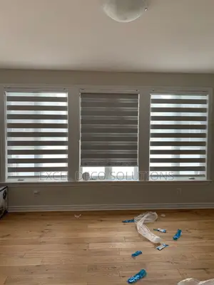 Privacy Window Covering/Zebra Roller Blinds