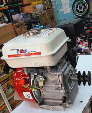 Agriculture Gasoline Engine - thumbnail 2